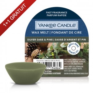 Ceara Parfumata Silver Sage & Pine, Yankee Candle